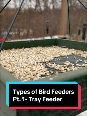 Who doesn’t love bird feeders? Program coordinator Heather Van Zyl is here to show the first type of feeder that you may like to try in your yard and see what birds it attracts. #WillCounty #ForestPreserve #nature #birds #BeATrailblazer