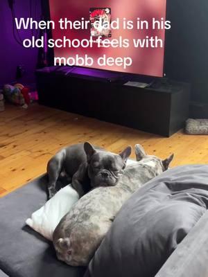 #frenchies #mobbdeep 