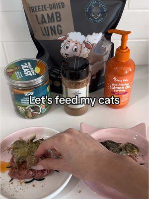 Let's feed my cats 🐱✨ -@Viva Raw Rabbit -@Zesty Paws Salmon Oil -@farmhoundstreats Leftovers Sprinkles  -@Ancestral Hunter Pet Treats Quail Chicks & Lamb Lung  "PETCREW" for 20% off Viva Raw 🥩 #catsoftiktok #cattok #catfood #catnutrition #felinenutrition #letsfeedmycats #whatifeedmycats #feedmycats #catmeal #cateating #rawcatfood #rawfeeding #rawdiet #wholeprey 