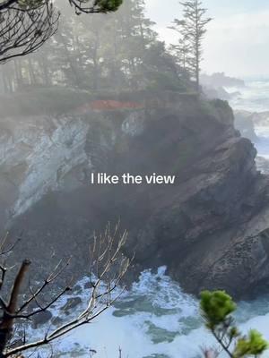 I like the view  #creatorsearchinsights #iliketheview 