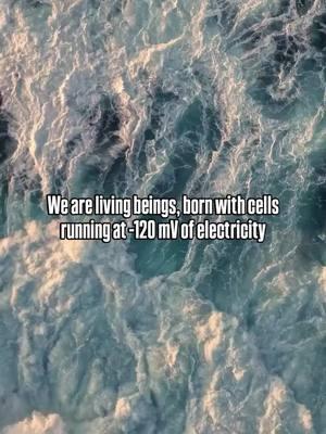 Living 💧 recharges our batteries. I've been on a water bender recently because I ran into a mad scientist named Owen Boyd and we're chatting tomorrow about his inventions that have not only helped to remediate mercury poisoning, but restore the electrical interplay between our cells every millisecond.  Did you know our cells are tiny batteries? To maintain homeostasis (balance), they need a voltage of about -20 to -25 millivolts. When it’s time to heal or replicate, that voltage has to go up to -50 millivolts. This means our cells need a consistent supply of electrons—energy—to function optimally. The problem: most water people drink is dead. Bottled, filtered, reverse osmosis and distilled all carry a positive charge. Instead of giving cells energy, they actually draw electrons away, draining our cellular batteries with every sip. It’s like trying to charge your phone with a broken cord—not just useless, but damaging over time. 🫠 When our cells run out of voltage, they start borrowing from each other, which creates even bigger problems. This internal “stealing” leads to poor replication, inflammation and even chronic issues. The cycle continues until your body is running on empty... This is why living water is essential. Living water is structured, full of bioavailable minerals, and carries a negative charge, replenishing your cells instead of robbing them. Why bother waiting for an expensive hospital bill or stay? Every sip of living water gives your body what it needs to:  • Recharge its cellular batteries  • Replicate new, healthy cells  • Heal more quickly  • Neutralize free radicals  • Relieve inflammation  • Restore gut health   • Hydrate your brain If you think this is all bs and that water is just water, everyone thinks that (myself included) until they don't. And then sometimes they dedicate the next 30 years of their life to water, remediating our waterways, homes, and educating on one of ths biggest levers we can pull towards restoring vitality. Fixing our water. P.S. it's not as simple as pH, but we'll get into that another time Source@rainbowwaterer RP + video credit - @benmack_ #healingisvoltage #waterislife💦 #hydrationisimportant #hydrationisthekey #healthhacking #biohackingtips