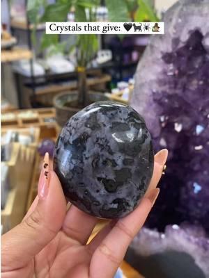 Which palmstone are you choosing?🧙🏼‍♀️🐈‍⬛🖤♠️🕷️  #palmstone #crystal #crystalvibes #crystalenergy #crystalhealing #palmstones #crystalenergy #magic #blackcrystals 