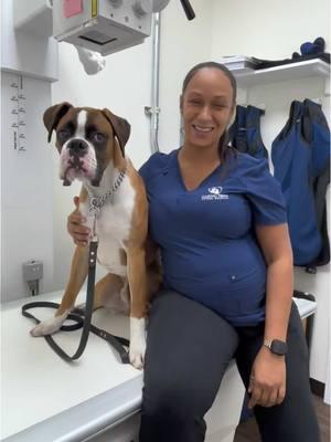 January is National Train Your Dog Month! Caring Paws team member Shalli is here with Kai to share how training plays a vital role in your pet’s overall wellness.                                  #veterinarian #trainyourdog #dog #puppy #vet #dogtrainer #caringpawsanimalhospital 