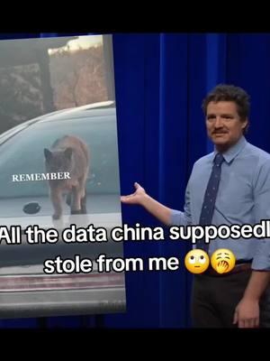 #CapCut #china #TikTokShop #data #supremecourtsucks #freedom 