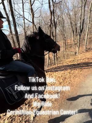 Follow us on IG and Facebook. Corinthian Equestrian Center #weride 