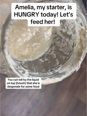 Let feed my starter, Amelia! #feedingstarter #feedingstartersourdoughstarter #sourdoughstarterfeeding #sourdoughstartermaintenance #sourdoughstarter