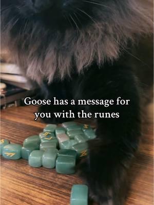 A final reading from Goose 🫂 keeping things the same is an illusion of stability. You must embrace change in order to grow #witchtip #witchtips #witchesoftiktok #divination #divinationtools #divinationwitches #divinationwitchtok #tarot #rune #runes #runereading #freya #freyagoddess #spiritualawakening #spiritual #pagan #paganism #pagantok #paganwitch #pagantiktoks #divination #freyadevotee #norse #norsepagan 