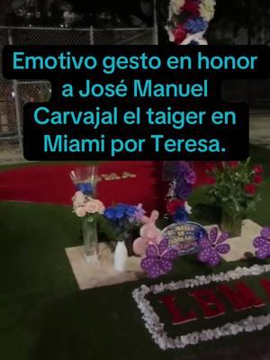 Emotivo gesto en honor a José Manuel Carvajal el taiger en Miami por Teresa. #MemorialJosé #AmorYRecuerdo #Unión #Homenaje #Miami #ComunidadUnida #Dedicación #Respeto #LegadoEterno #eltaiger 