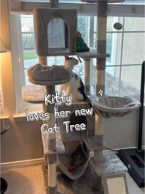 My kitty is absolutely obsessed with her new cat tree! 🐾 She can't get enough of it! 😻 #KittyLove #CatTree #PetShopFinds #HappyKitty #FelineFun #CatAccessories #TikTokShop #Kittycat #obsessed #catsoftiktok #viralproducts #viral #fyp #lastchance #Funnycats #Cutecats #cattrees #catplaying #cattoys #catlover #kitten #cattok #jumpstart #tiktokshopjumpstart #tiktokshopfinds #CapCut 