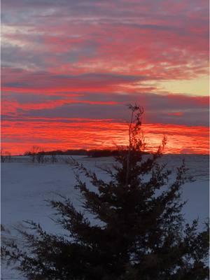 Nothing like a great sunset. #herestous #tornadofarmer #fyp #sunset 