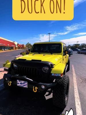 Yellow jacket💛#duckon #tampabay #jeep #jeeplife 