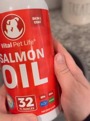 @Vital Pet Life Salmon Oil is a new addition to Jinx’s dinner. Skin and coat care is important. Thankfully my dogs don’t suffer from allergies or skin issues but, it never hurts to be proactive. #dogfoodtiktok #salmonoilfordogs #dogproductreviews 