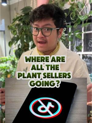 Where are all my favorite tiktok plant sellers going!?  I have reached out far and wide to all the shops I love and asked them, “where can they find you?” Many Plant Shops: @Dandi Plants @Runo Plants LLC  @Steve’s Leaves  @Pablo's Plants  @The Green Covert  @Land of Alice  Only one place that has you covered @thepalmstreetapp  My profile has all my links and invites! #plant #PlantTok #houseplants  #tiktokrefugee #tiktokseller #liveshopping #liveselling #tiktokban #livesellingcommunity #TikTokShop