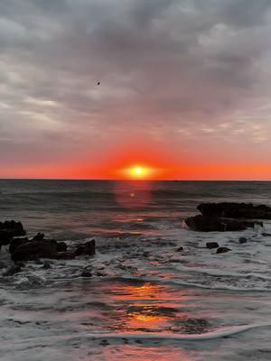 “Silently we all want our old days back.” ❤️‍🔥🌅🌊 #sunsetlover #beachtherapy #goldenhour #oceansunset #paradise #florida 