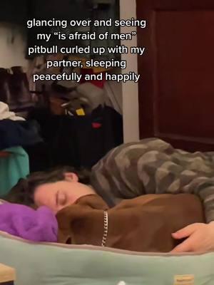 I’m getting emo looking back and saving old videos from Jolene’s TikTok fame #foryou #fyp #viral #pitbull #pitbullsoftiktok #pitbulls #pitmix #rescuedog 