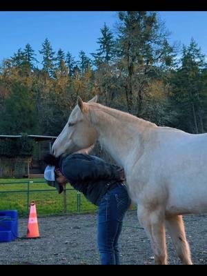 Why do horse girls love their horse more than anyone else? Here’s your answer #horses #crazyhorsegirls #treadsoftlyhorsetraining #aqha #cremello