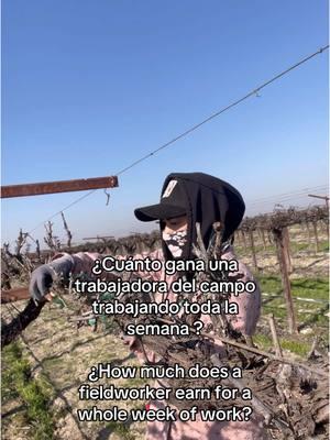 ¿Cuánto gana una trabajadora del campo trabajando toda la semana? #fieldwork #california #fresno559 #workingmom #workinglife #
