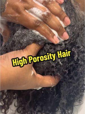 A lesson in high porosity hair. #highporosity #education #hairknowledge #themoreyouknow  