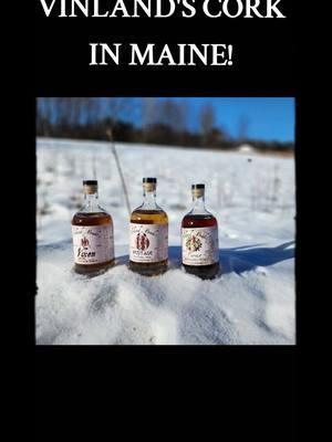 #Duet or answer with a video comment! How do you drink your Vinland Mead?! #maine #fyp #meadtok #mead #brewers @Vinland Meads @Týr (mark) @Yule Viking Festival / Uppsala @Heathen Beard Company 