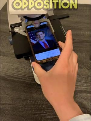 Senator Tom Cotton Microscoped 🔬 #tiktok #tomcotton #tiktokban #savetiktok 