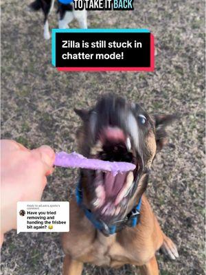 Replying to @ad.astra.apollo well it was a good idea! #zilla #godzilla #malinois #malinoisoftiktok #belgianmalinois #malinoisbelgian #belgianmalinoisoftiktok #malinoislife #malinoisdog #malinoisworld #dogtok #dogsoftiktok #funnydog #chatter 