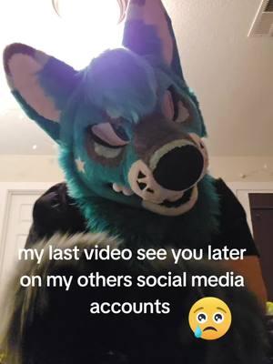 my last video before this app goes away it was fun making content on this platform. this is where it all started where I became a furry and being gay and coming out 🥺 i am sad to see this app go on January 19. #furry #furrywolf #fursuitfriday 