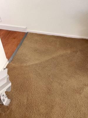 Help Me Carpet Guy #carpetguy #oddlysatisfying 