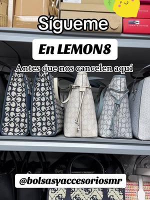 #lemon8 #parati #emprendeconmigo #siguemeytesigo #foryourpage #bolsasoriginales 