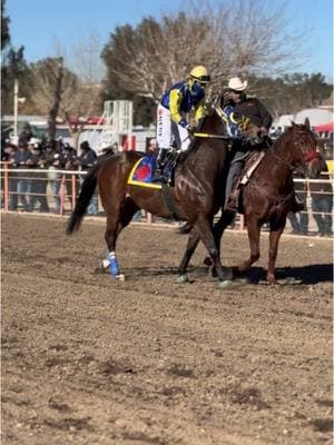 El Nuevo Minero 💙💛 vs El Moro Husky 💙🤍 #carrerasdecaballos #cuartodemilla #horserace #quarterhorse #caballos #horse #racing #carreras #california #carrerasdeloeste @Carreras del Oeste 