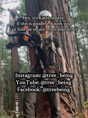 If this is really the end, know I’ll still be sharing my life and work on other platforms. A lot of long form content and educational stuff is going live on my YouTube. Thanks so much for your kindness and support these last few years!  #timberfaller #timberfalling #treebeing #tiktokban #fyp 