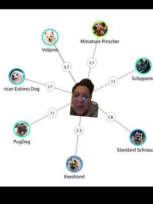 THIS IS SO COOL!! #doggenetics #doggenes #doggenome #doggenometesting #dogtok #dognerd 