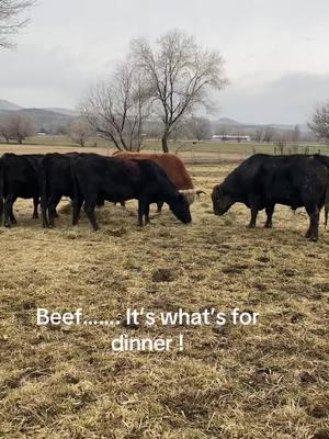 #beefitswhatsfordinner #jumpinthebandwagon #dinnerprep