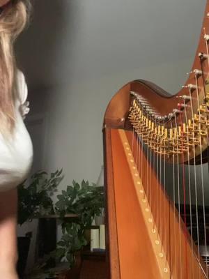 Im tryna get to 30M likes before it gets banned #youhaveto #youhavetostop #hannahharpist #tiktokharpist 