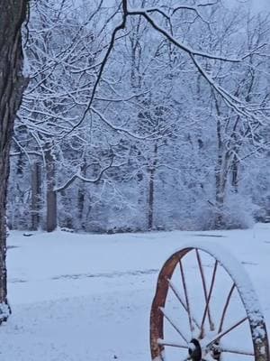 🧊🪵❄️☔️Memories we carry with us forever🌨❄️☔️ #onthisday #fyp #foryou #foryoupage #viralvideo #tiktoktrend #myparadise #naturevibes #naturelover #healing #cure #sanctuary #relaxing #animalspets #kingdom #castle #winter #trees #rain #storms #snow #explore #اكسبلور #planet #earth #universe #peace #usa🇺🇸 #lebanon🇱🇧 #لبنان🇱🇧 #Beirut🇱🇧 #بيروت🇱🇧 #Gaza🇵🇸 #ceasefire #Palestine🇵🇸 #Love #world🌏 