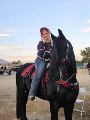 Miren que belleza de caballo 🐴 🥰#fyp #eloglass5 