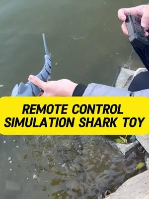 This shark toy is remote controlled! #sharktoy #remotecontroltoy #rcshark #sharks