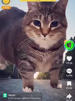 Get Facemoji in my bio then type oia to see the hidden effect #oia #uia #oiacat #oiiaiiooiiai #viral #trending #fyp #fy #trend #foryou #tiktok #music #song #cat 