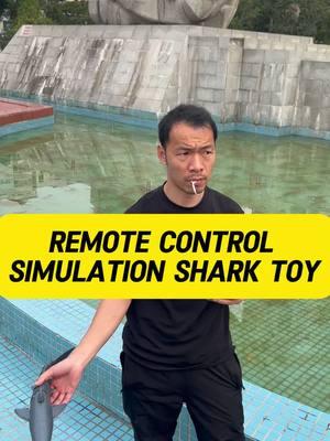 This shark toy is remote controlled! #sharktoy #remotecontroltoy #rcshark #sharks