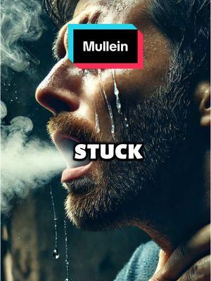 The easiest lung detox for smokers using mullein  #mullein #mulleinleaf #mulleinextract 