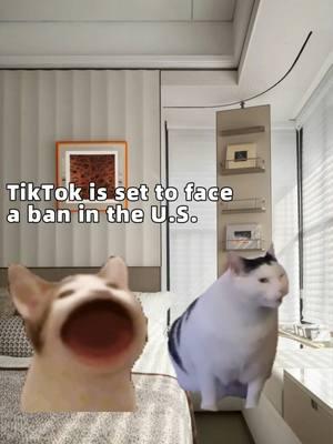 Tiktok users head to RedNote days before US ban decision！We are ready to pay RedNote Cat Tax！🤣🤣🤣#selfyzAI #RedNote #tiktokban #tiktokbanned #cattax #tiktokrefugee #refugee #refugeeswelcome #catsoftiktok #ban #china #chinatiktok