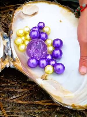 🎁🎁The girl discovered a giant clam, which was pregnant with countless pearls, charming and beautiful #pearlhunter #pearl #jewelry #seafood #pickingpearls #huntingpearl #fyp #foryou #tiktok 