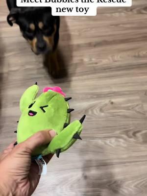 @Shop BARK sent bubbles a new toy #dogsoftiktok #fyp #rottweiler #mixeddog #toysfordogs #rescuedog #ttstastemakers  #TikTokShop #tiktokban 