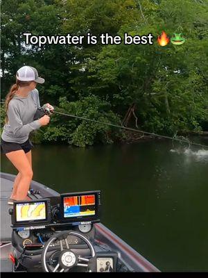 This was one my favorite topwater catches! I’m ready for the water to get back up in the trees again!! 🙌😍🔥 I figured if this app does get banned I want to go out posting some of my favorite memories and also wanted to let yall know how much I appreciate all of you! The friendships and support have meant the world to me! Tight lines yall 🎣 The setup 😎🎣 Rod: @MONSTERBASS Lunkerstick 🔥 Reel: my tried and true @Piscifun Alloy M! My favorite all around reel 🙏 (KBO-15 on site) Lure: @Z-Man Fishing Products Hollow Body Walking Leap FrogZ 🐸 Last I heard they weren’t going to be making these anymore so that sucks 😭 #fishing #bassfishing #fishtok #topwater #topwaterfishing #piscifun #monsterbass #largemouth #largemouthbass #femaleangler #bigbass 