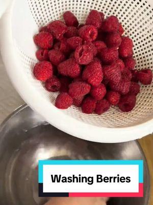 This was one of the first tips that I learned from TikTok over three years ago, and I haven’t wasted a berry since! 😋 ##OptimisticKitchen##makeyourkitchenyourhappyplace##happyeating##Foodtiktok##HomeCook##FoodBlogger##foryou##fyp##fypfood##Cookingtok##CookingTikTok##FoodTok##foodtiktok##HomeCooking##foodfyp ##healthyfood##healthylifestyle ##tiptok##reducefoodwaste##KitchenHacks##Kitchentip##kitchenhack##fypkitchenhacks##washberries##raspberries##blueberries##blackberries#b#berries