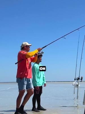 "BEST method for catching HUGE FISH from the beach? 🤔🎣🦈 Cut bait is one of the best ways you can target big fish from the beach! We used ladyfish heads to catch a beautiful shark who was safely released. #fishing #fishingreel #beachfishing #explore #fyp