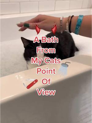 Thank you for everything over the years, just in case 🥹❤️ We love you all so much 💕 #viralvideo #cat #catmom #catbath #cutecat #catpov #tuxedocat #bathingmycat 