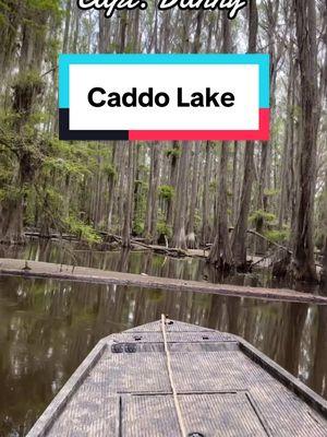 Throwback to one of our very first videos with Captain Danny back in April 2021! Caddo Lake is fun, filled with laughter, incredible rides, and great memories. As we reflect on all the fun, cruising through the bald cypress forests and watching the sunset over the water, we want to take a moment to appreciate the journey.  If TikTok comes to an end, we will miss creating and sharing these magical moments with all of you, but rest assured, we’ll still be out here having fun #texas #caddolake #uncertaintx #lake #boat #gatortraxboats #captaindanny #fun 