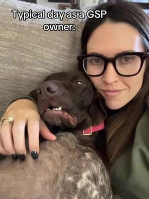 The ending tho…. 😷 #gsp #gspoftheday #gspoftiktok #gspdog #gspofinstagram #gspoftexas #gspowner 