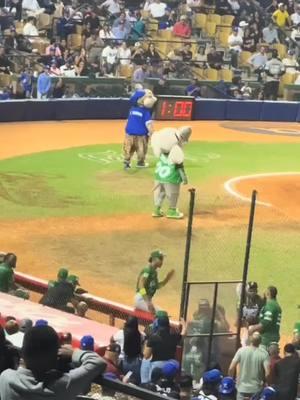 hasta bailando se la aplicamos jajaj😫💪🐯💙😍 #viral #fyp #foryou #foryoupage #parati #dominican #dominicanrepublic  #domi #funny #funnyvideos #Love #licey #liceycampeon #tigueresdellicey 