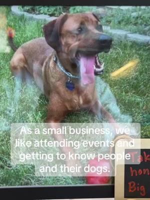 Will you follow and be our friend? We don’t know what the future holds, but you can find our small business on other platforms like Facebook and Instagram. 🐾❤️🐾 #zekesbarkery #fyp #welovedogs #dogtreats #homemadedogtreats #dogbakery #dogbarkery #dogtreatbusiness #rhodesianridgeback #hound #houndsoftiktok #cuddleclones #smallbusinessowner #smallbusinesstiktok #SmallBusiness #supportsmallbusiness 